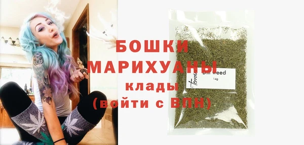 молекула духа Осташков
