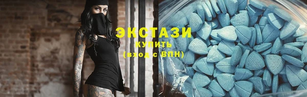 хмурый Пересвет