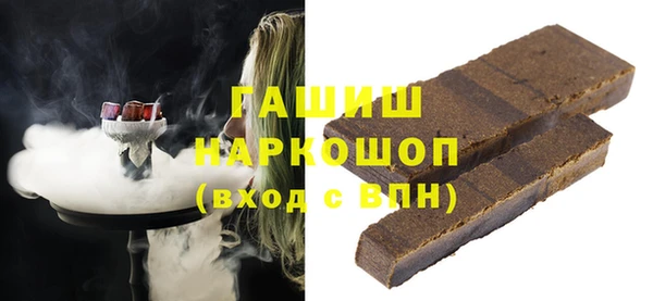 хмурый Пересвет