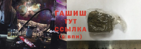 хмурый Пересвет