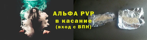 гашик Осинники