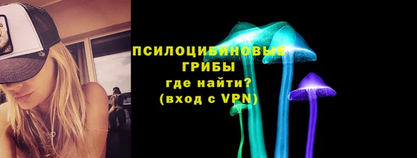 гашик Осинники