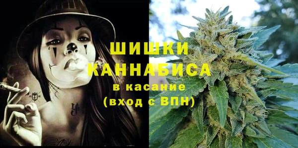 гашик Осинники