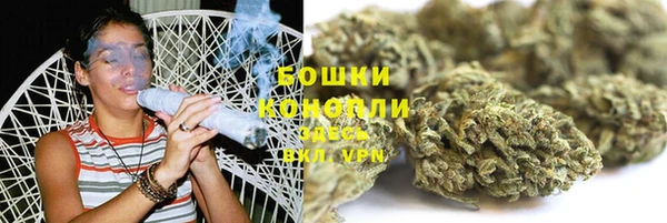 молекула духа Осташков