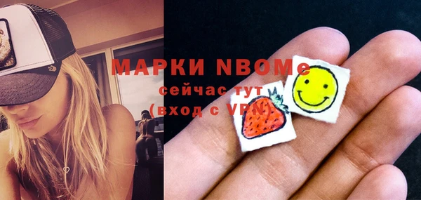 молекула духа Осташков