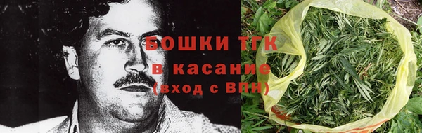 молекула духа Осташков