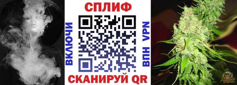 Каннабис конопля Тбилисская